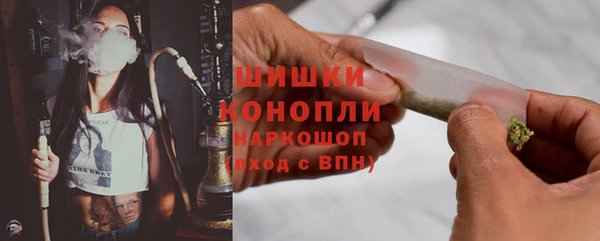 ГАЛЛЮЦИНОГЕННЫЕ ГРИБЫ Касимов