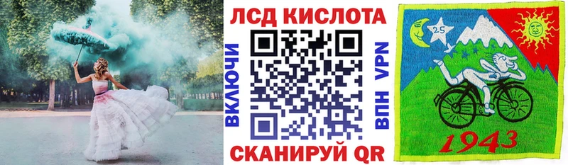 купить наркотик  blacksprut зеркало  Наркотические марки 1,8мг  Лесной 