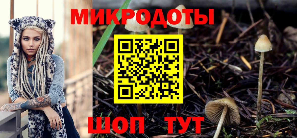 Галлюциногенные грибы мицелий Лесной