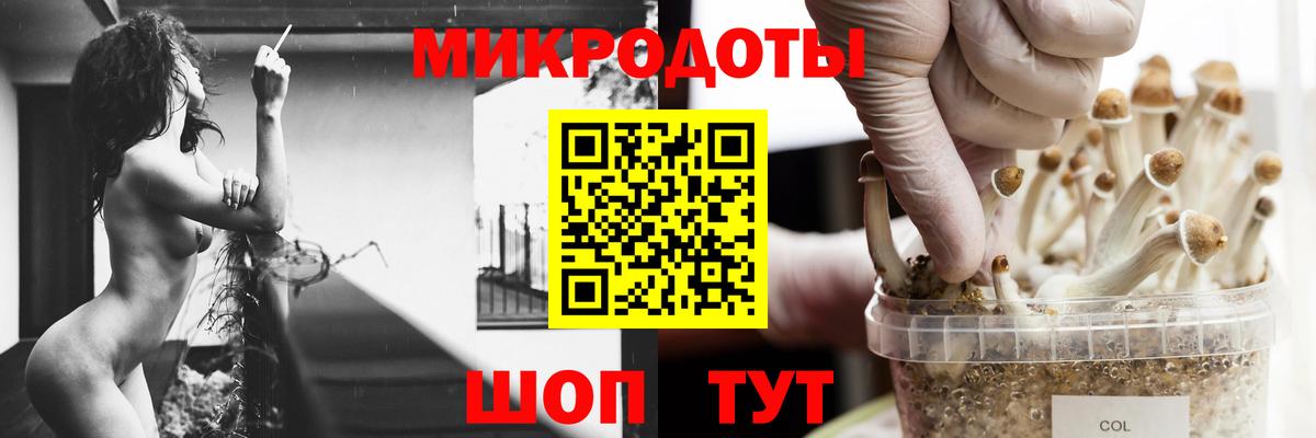 Псилоцибиновые грибы мухоморы  Псилоцибиновые грибы прущие грибы  Вход с VPN  Лесной 